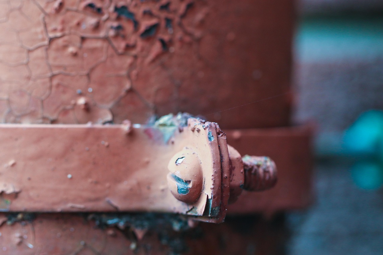 Guida all'acquisto: perché RuggineX 2x1 è il miglior investimento per i tuoi beni